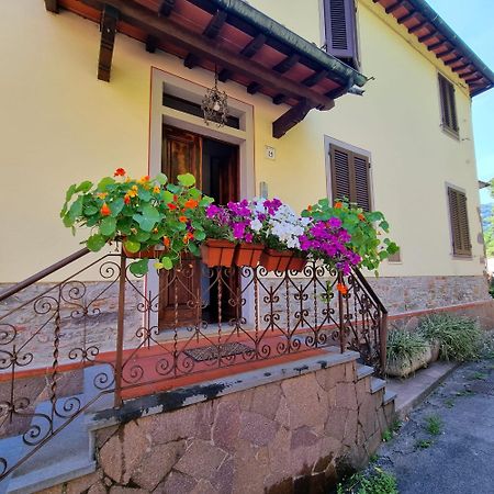A Collodi Io & Mamma100 M Dal Parco Di Pinocchio Bed & Breakfast ภายนอก รูปภาพ
