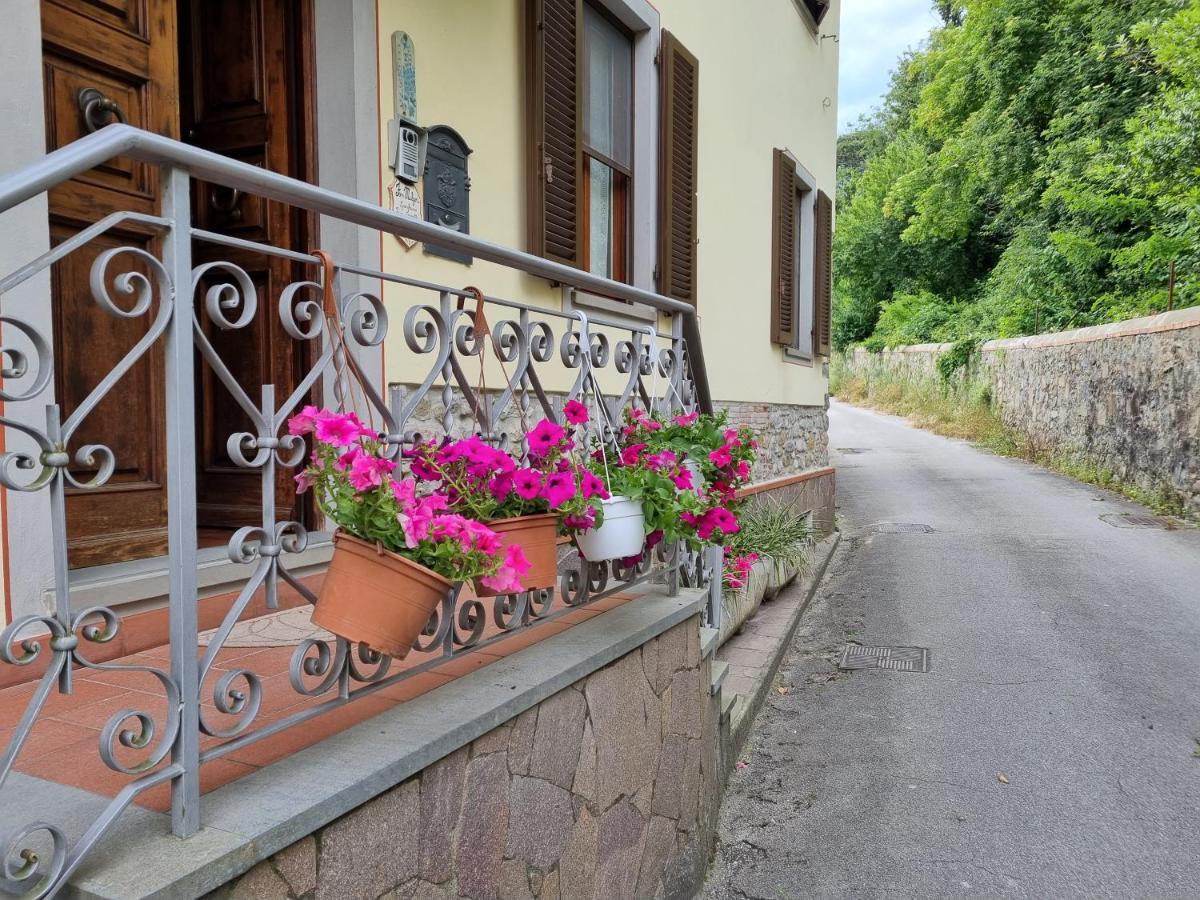 A Collodi Io & Mamma100 M Dal Parco Di Pinocchio Bed & Breakfast ภายนอก รูปภาพ
