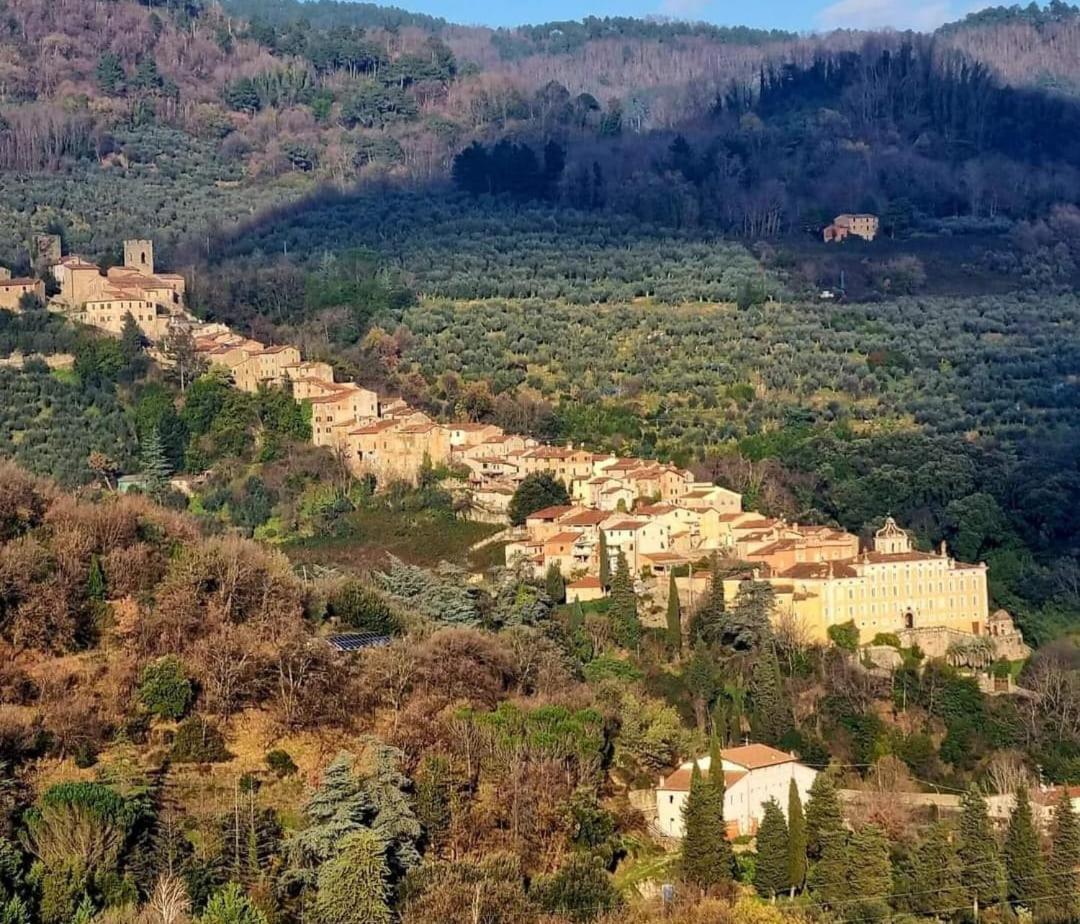 A Collodi Io & Mamma100 M Dal Parco Di Pinocchio Bed & Breakfast ภายนอก รูปภาพ